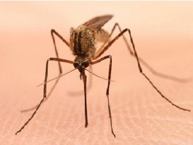 龙江四害消杀公司常用的灭蚊子的办法有哪些