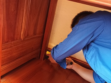 勒流专业治白蚁机构冬季是灭白蚁的最好时机