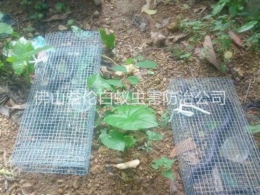 大良驱蛇防蛇工程
