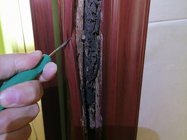 北滘白蚁备案站杀虫剂能否有效杀死白蚁