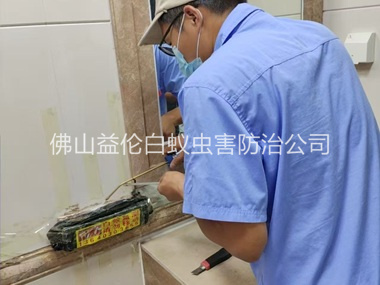 佛山诱杀箱施药灭杀白蚁工程