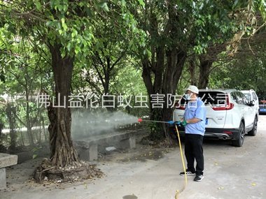 伦教社区四害消杀工程