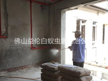 顺德装修预防白蚁工程