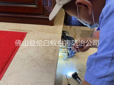 均安装置诱杀箱监测白蚁工程