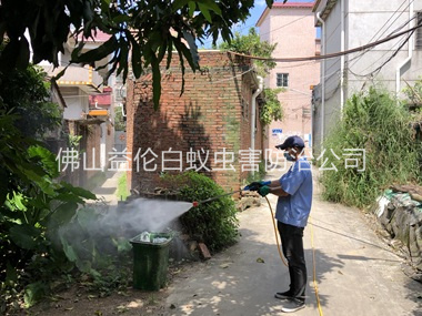 龙江村庄灭蚊预防 “两热”工程